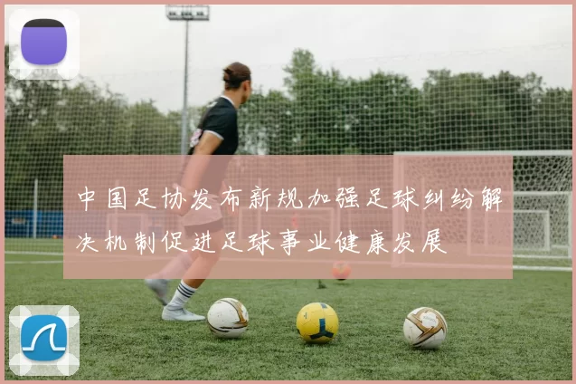 中国足协发布新规加强足球纠纷解决机制促进足球事业健康发展